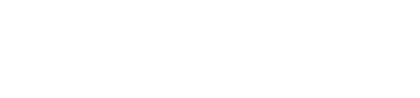 Cartago's Software